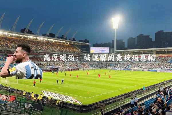 高原球场：被误解的竞技场真相